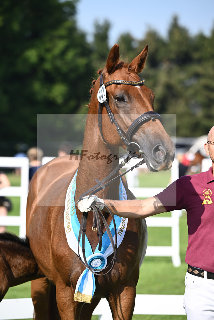 Kat-Nr. 7 Blue Eyes_Lechl_34240147 | hf-fotografie - Realisiert mit Pictrs.com