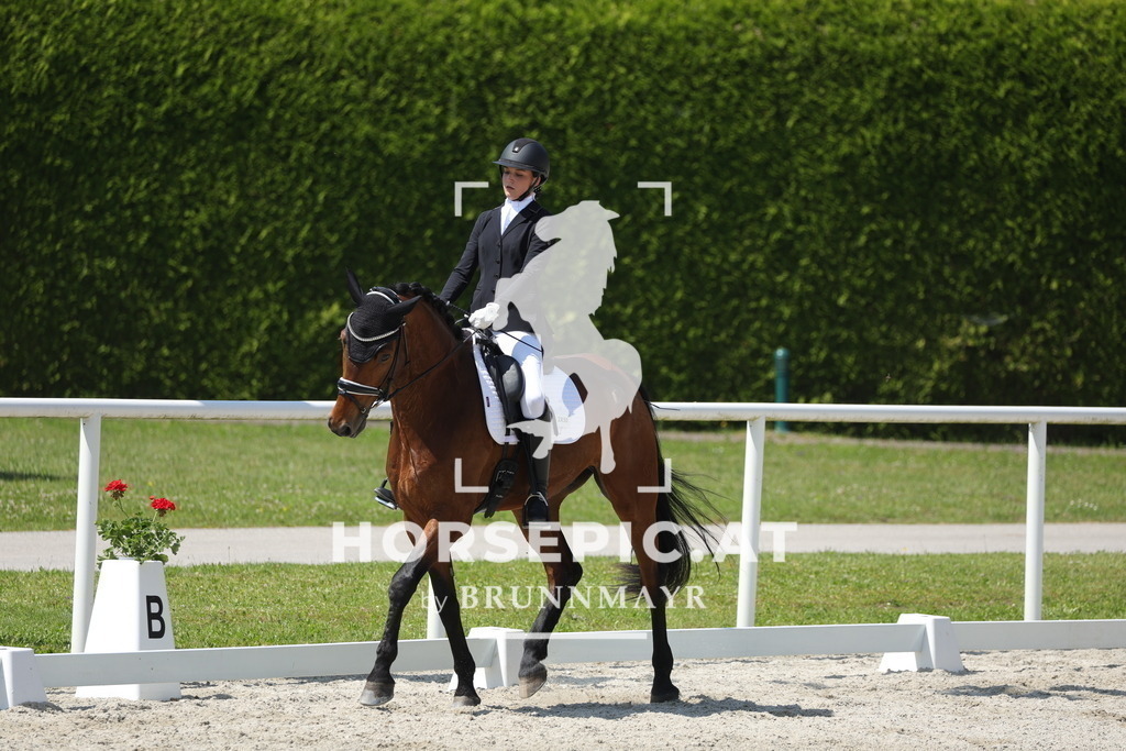 0P6A1195 | Willkommen bei Brunnmayr - Design & Fotografie – Ihrem Spezialisten für Reitturniere und Pferdeveranstaltungen in Oberösterreich, Salzburg und Bayern! Seit über 17 Jahren sind wir leidenschaftlich dabei.