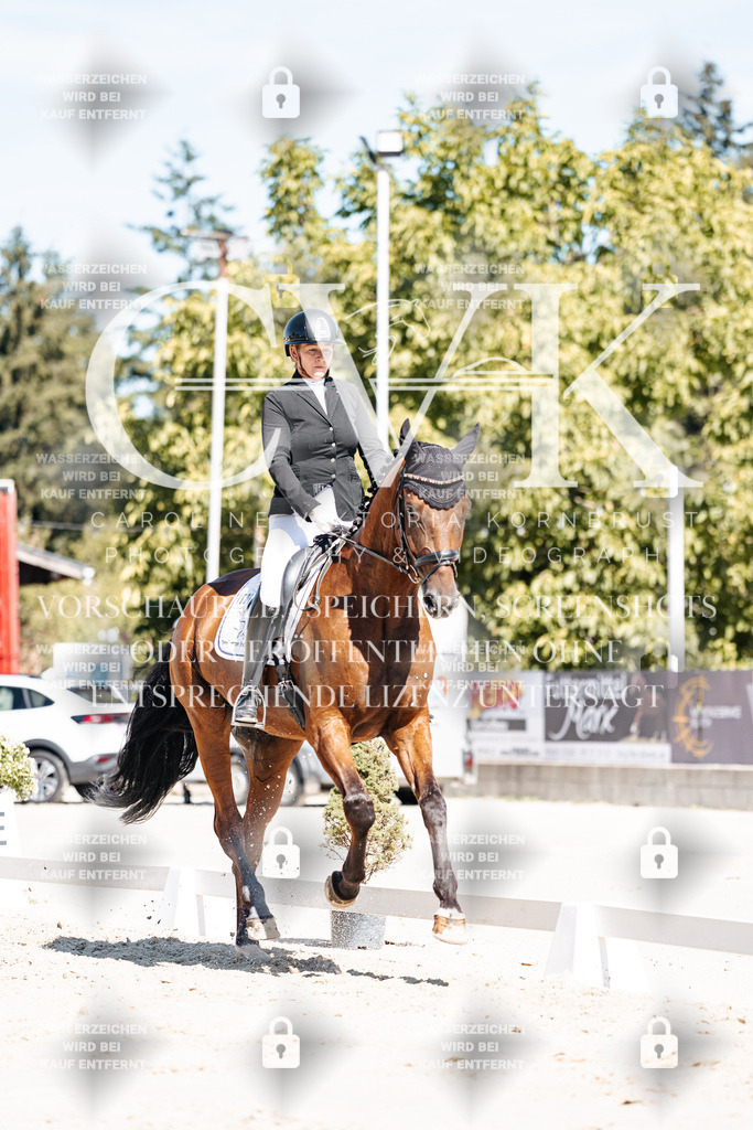 CK909205 | Turnierfotografie Pferdefotografie Trier Rheinland-Pfalz Pferdesport Reitsport Tierfotografie Sportfotografie Pferdevideo Pferdevideografie Equestrianvideography equestrianphotography  - Realisiert mit Pictrs.com