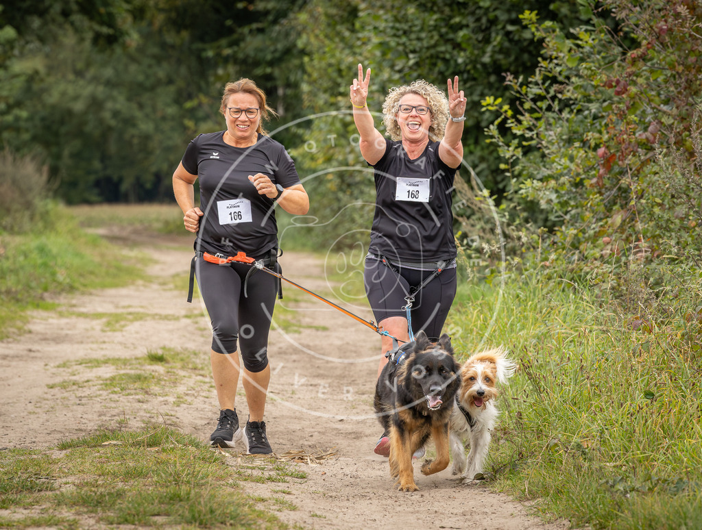 Pfotenfotografie_DV3A7257 | Hundefotografie, Tierfotograf, Pfotenfotografie, Fotoshooting Hund, Hunde Portrait, Hundesport, Hundeportraits, Heideshooting, Hunde, Sportfotograf, Hundefotograf, Turnierhundsport, THS,  - Realisiert mit Pictrs.com