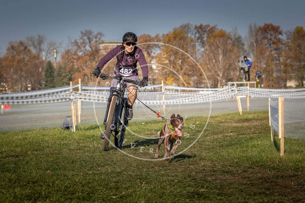 CaniXpix_0L8A4718 | Hundefotografie, Tierfotograf, Pfotenfotografie, Fotoshooting Hund, Hunde Portrait, Hundesport, Hundeportraits, Heideshooting, Hunde, Sportfotograf, Hundefotograf, Turnierhundsport, THS,  - Realisiert mit Pictrs.com