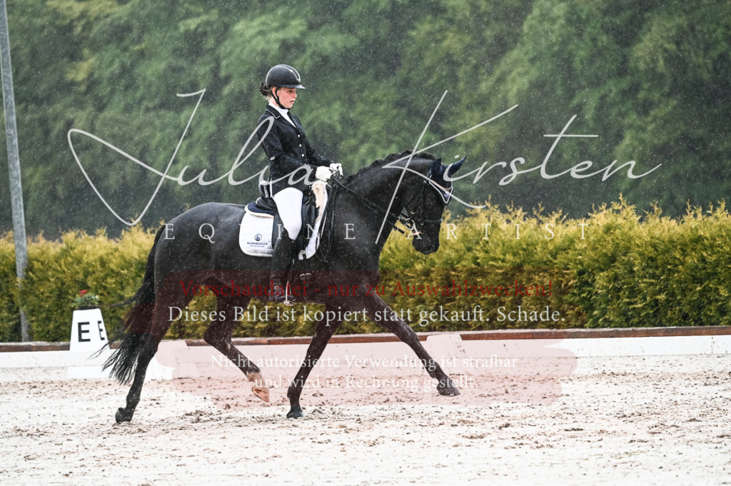 DSC_4727 | Pferde- und Turnierfotografie in Westsachsen. Pferdeportraits, Auftragszeichnungen und intuitive Kunst.