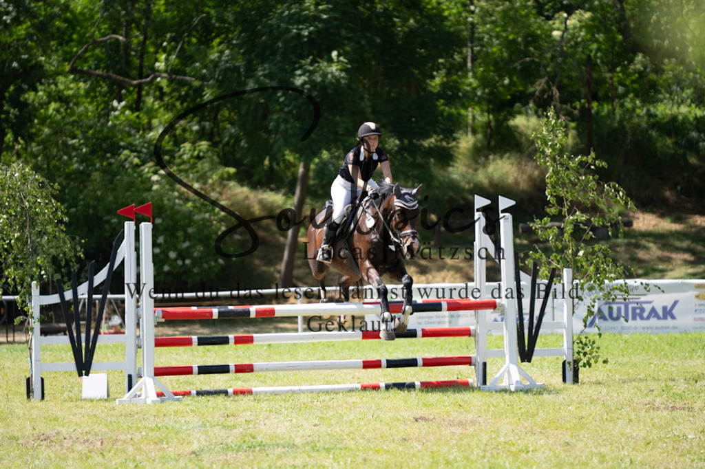 A7V06296 | Pferdefotograf