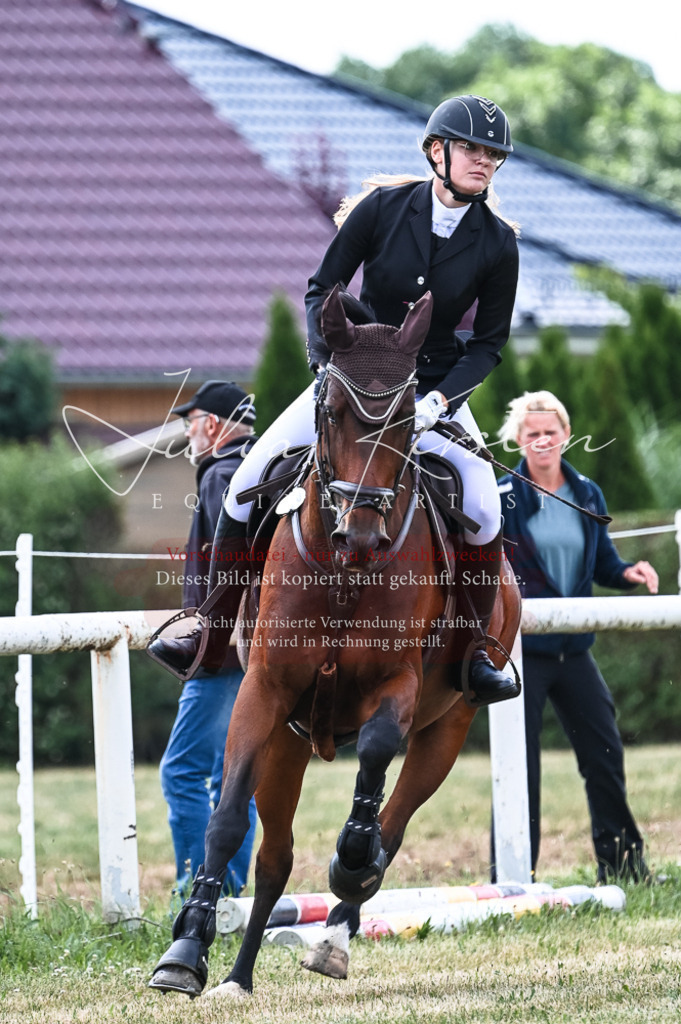 DSC_9054 | Pferde- und Turnierfotografie in Westsachsen. Pferdeportraits, Auftragszeichnungen und intuitive Kunst.