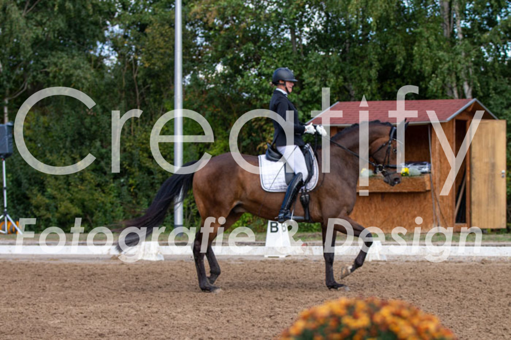 IMG_3846 | Creatify Fotografie