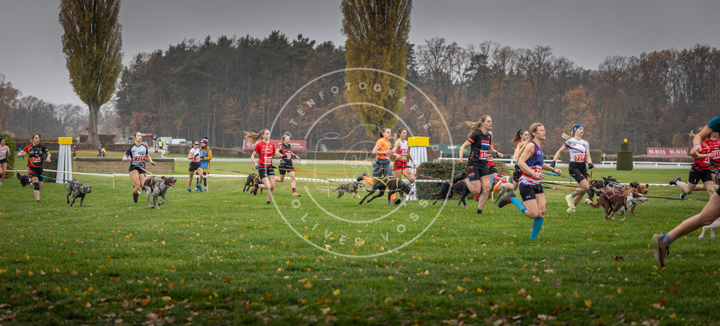 CaniXpix_DV3A8809 | Hundefotografie, Tierfotograf, Pfotenfotografie, Fotoshooting Hund, Hunde Portrait, Hundesport, Hundeportraits, Heideshooting, Hunde, Sportfotograf, Hundefotograf, Turnierhundsport, THS,  - Realisiert mit Pictrs.com