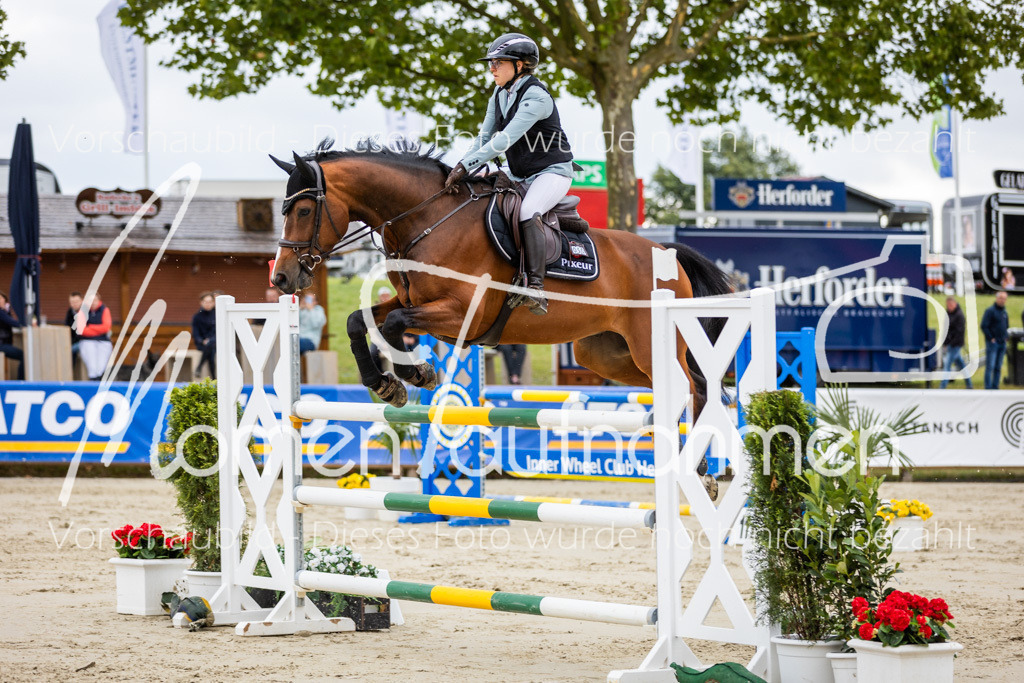 BHO-2PhSpr-M-5-2117 | MomenTaufnahmen Pferdesportfotos