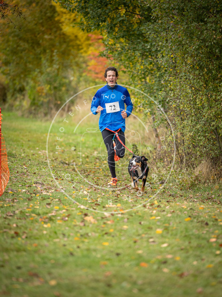 Pfotenfotografie_DV3A2813 | Hundefotografie, Tierfotograf, Pfotenfotografie, Fotoshooting Hund, Hunde Portrait, Hundesport, Hundeportraits, Heideshooting, Hunde, Sportfotograf, Hundefotograf, Turnierhundsport, THS,  - Realisiert mit Pictrs.com