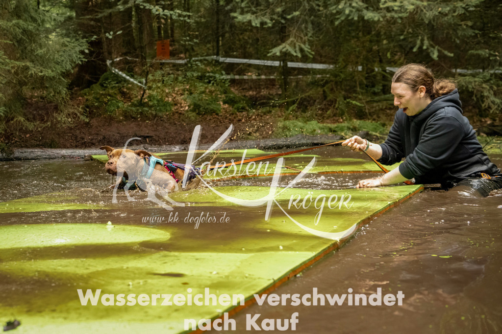 1220_ZZ94004-Bearbeitet | kk-dogfotos