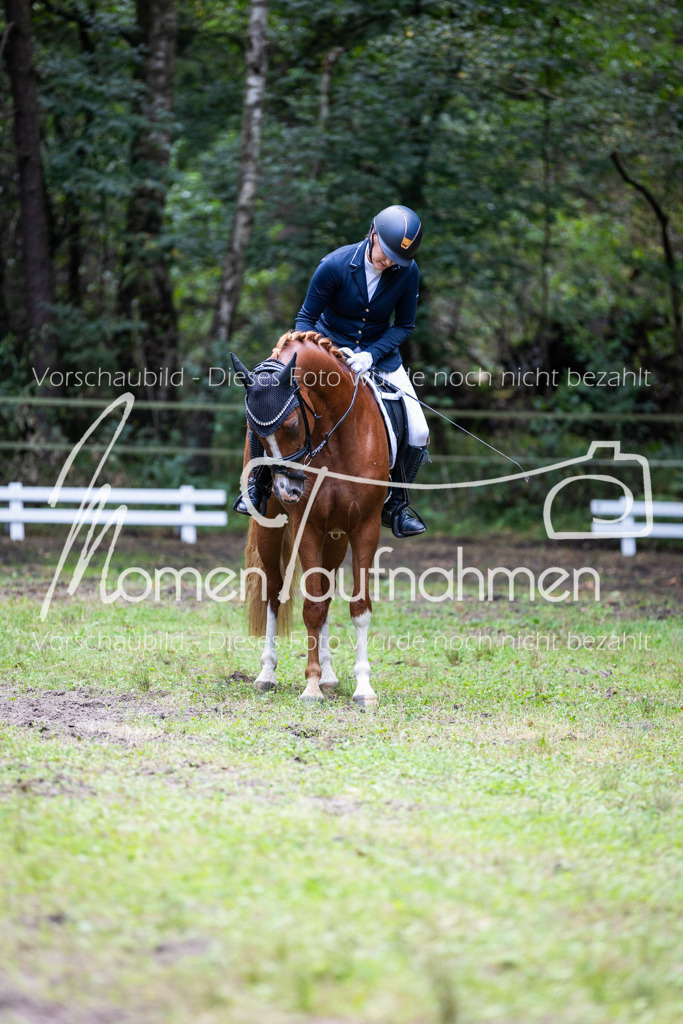 HB-A-Dressur-165 | MomenTaufnahmen Pferdesportfotos