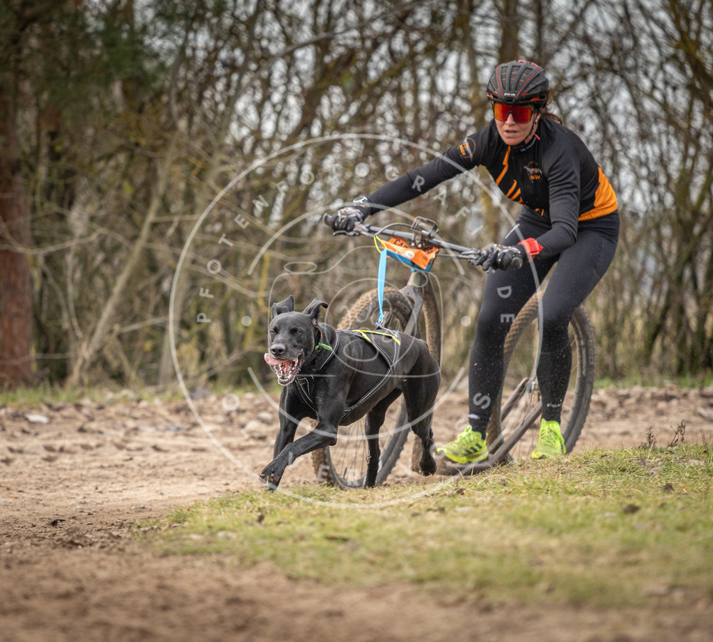 Pfotenfotografie_DV3A9163 | Hundefotografie, Tierfotograf, Pfotenfotografie, Fotoshooting Hund, Hunde Portrait, Hundesport, Hundeportraits, Heideshooting, Hunde, Sportfotograf, Hundefotograf, Turnierhundsport, THS,  - Realisiert mit Pictrs.com