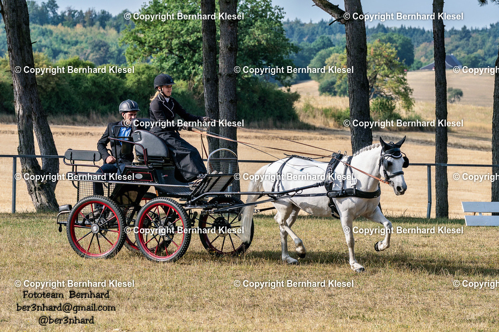 2A901529 | foto-team-bernhard - Realisiert mit Pictrs.com