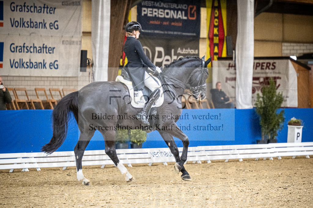 DOS_0636 | Entdecke hochwertige Reitturnierfotos von Foto Oger. Professionell, emotional und authentisch – jetzt Lieblingsmomente im Shop bestellen.Deutschlandweite Turnierfotografie. - Realisiert mit Pictrs.com
