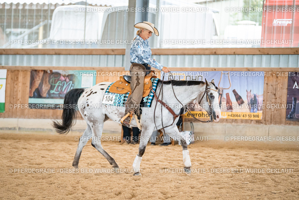 DSC03167 | Pferdegrafie