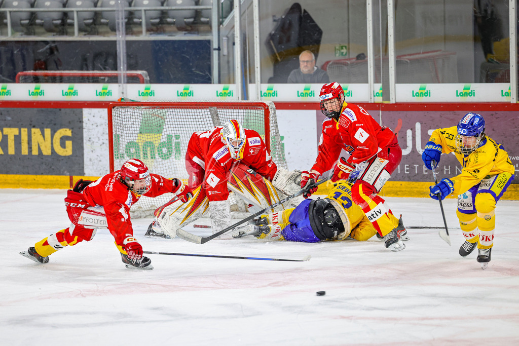 EHCB vs HCD-0768 | Sportbilder, Sportfotograf, Hochzeits- und Eventfotografin, Flugshows, Portraits und Tiershooting, Aviation, Downhill, Nationalleague, Swissleague, International
