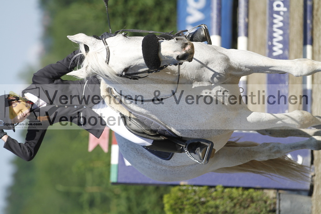 _MG_8137 | equestrian-live-com
