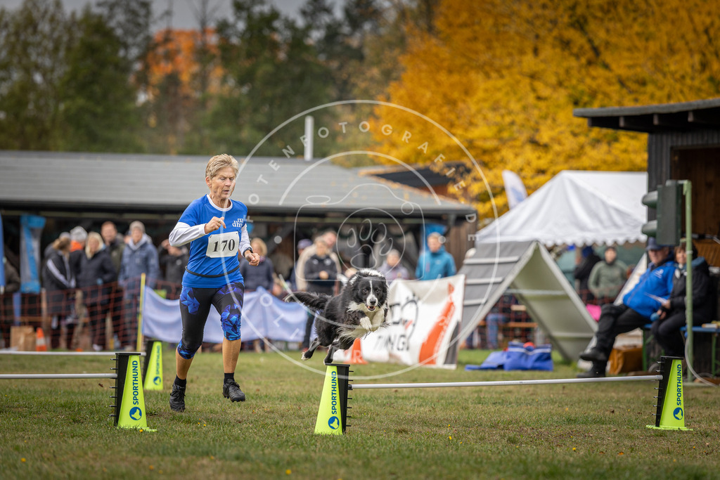 Pfotenfotografie_DV3A5514 | Hundefotografie, Tierfotograf, Pfotenfotografie, Fotoshooting Hund, Hunde Portrait, Hundesport, Hundeportraits, Heideshooting, Hunde, Sportfotograf, Hundefotograf, Turnierhundsport, THS,  - Realisiert mit Pictrs.com