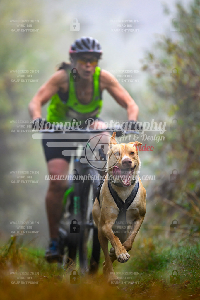 MompixPhotography_20TSB_E4_Bike-66 | PayLife