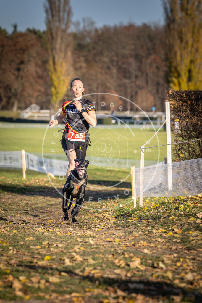 CaniXpix_DV3A2119 | Hundefotografie, Tierfotograf, Pfotenfotografie, Fotoshooting Hund, Hunde Portrait, Hundesport, Hundeportraits, Heideshooting, Hunde, Sportfotograf, Hundefotograf, Turnierhundsport, THS,  - Realisiert mit Pictrs.com