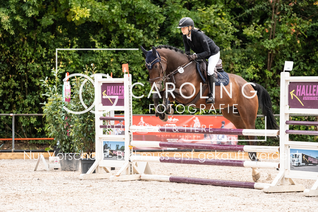 DSC03269 | Carolin Gieschke