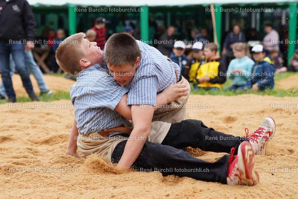 20220423-DSC03613 (2) | René Burch leidenschaftlicher Fotograf aus Kerns in Obwalden.  Hier finden sie Sport, Landschaft und Natur Fotografie.
 - Realisiert mit Pictrs.com