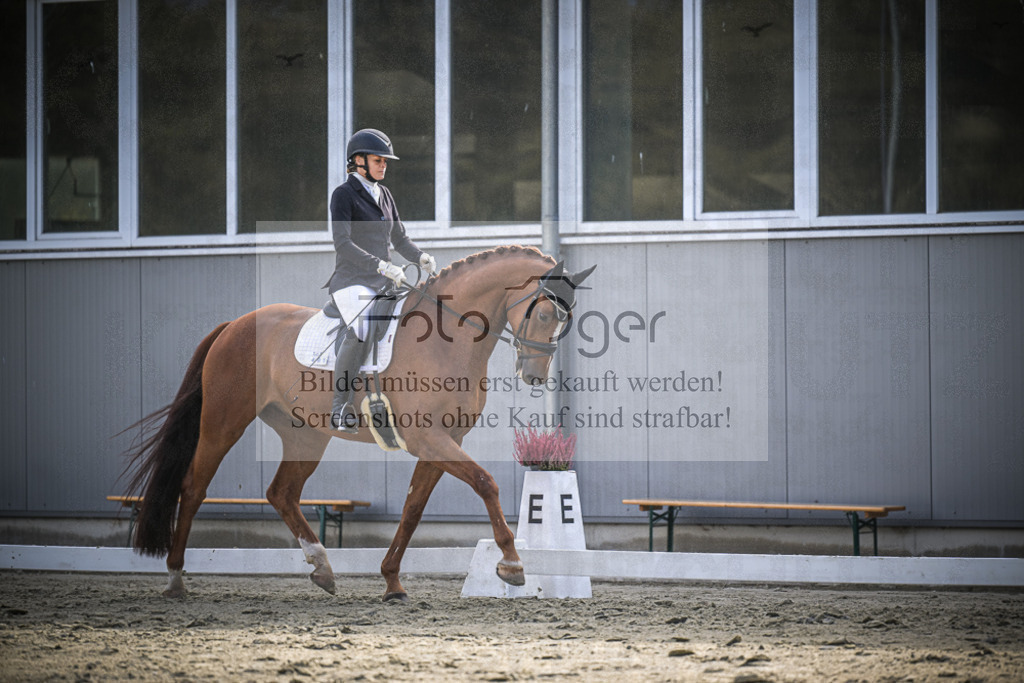 DOS_0893 | Entdecke hochwertige Reitturnierfotos von Foto Oger. Professionell, emotional und authentisch – jetzt Lieblingsmomente im Shop bestellen.Deutschlandweite Turnierfotografie. - Realisiert mit Pictrs.com