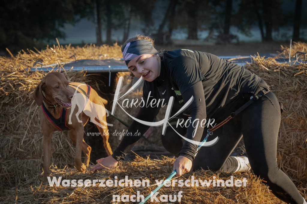 0900_ZZ90542 | kk-dogfotos