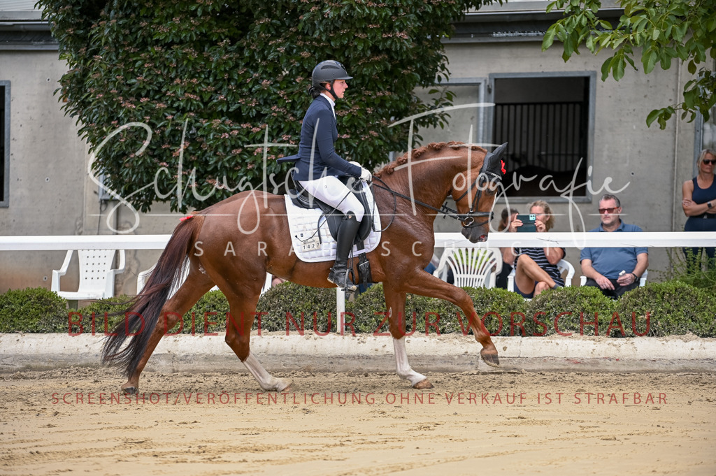 Schugtsche-Aluta25-48.Reitpferfdeprf.-162 | Schugtsche Fotografie - Realizzato con Pictrs.com
