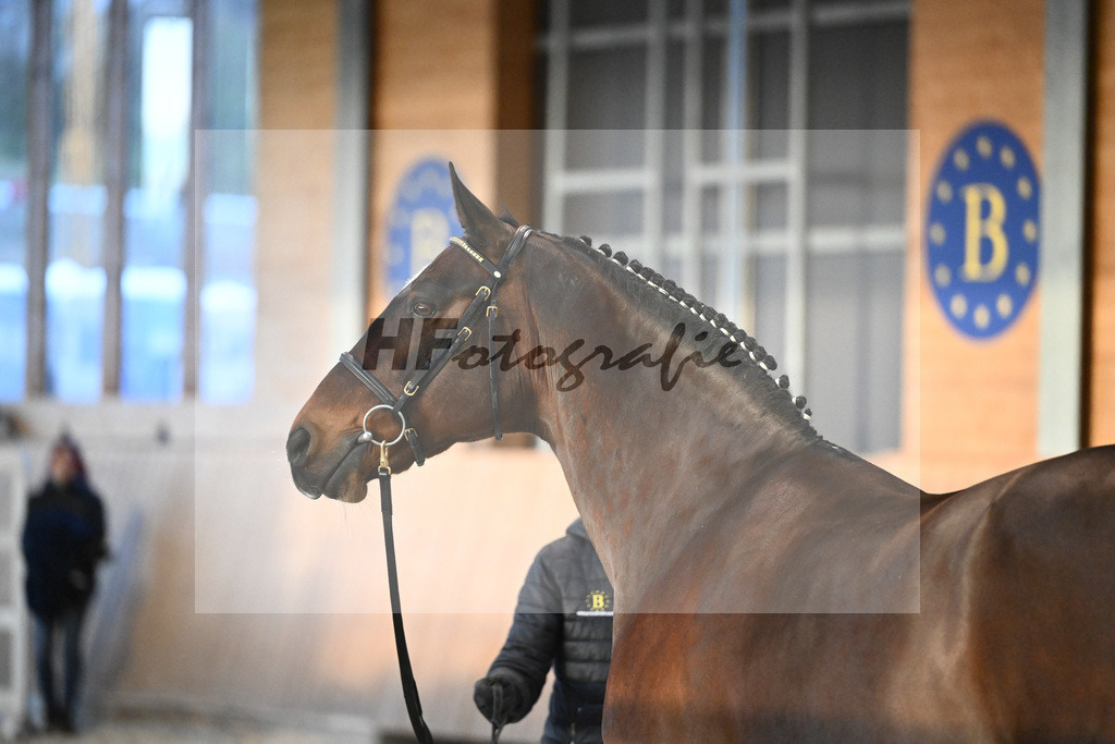 Vigaro_7240884 | hf-fotografie - Realisiert mit Pictrs.com