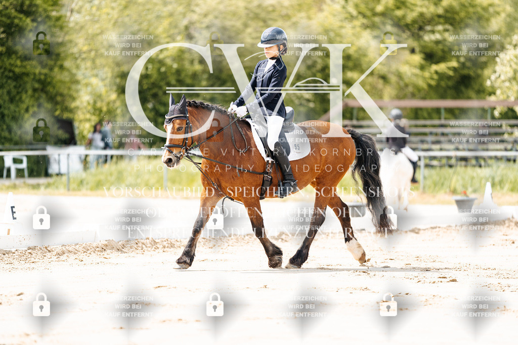 CK901683 | Turnierfotografie Pferdefotografie Trier Rheinland-Pfalz Pferdesport Reitsport Tierfotografie Sportfotografie Pferdevideo Pferdevideografie Equestrianvideography equestrianphotography  - Realisiert mit Pictrs.com