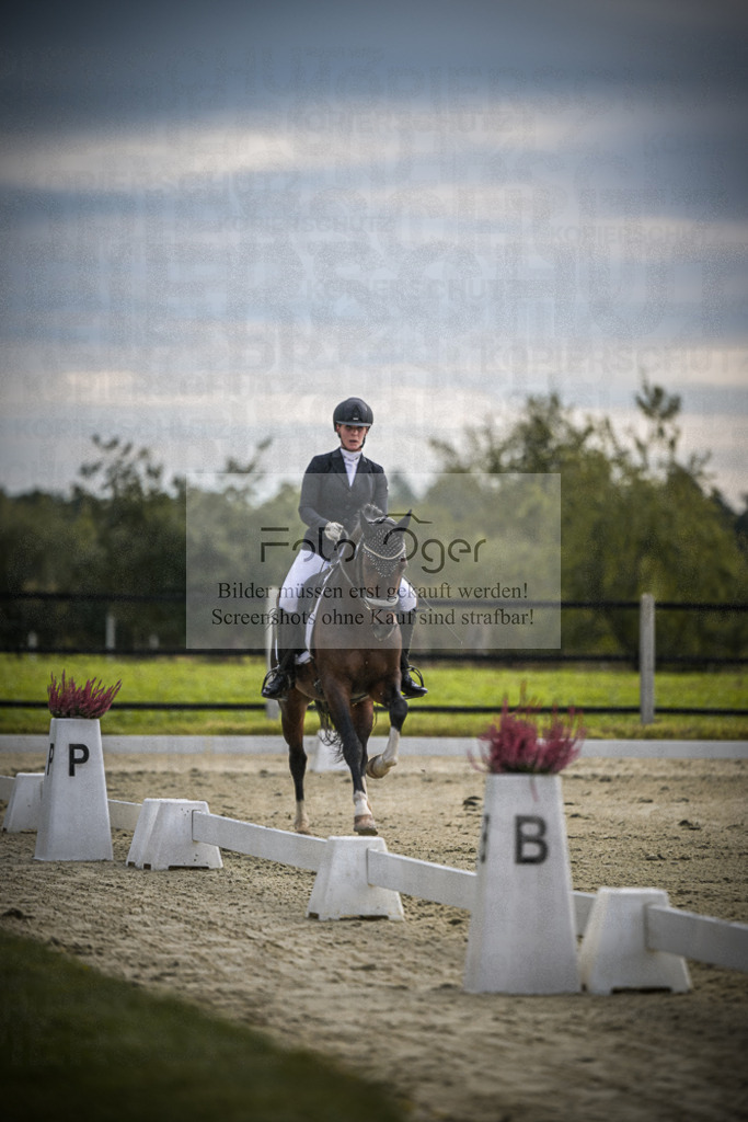 DOS_1129 | Entdecke hochwertige Reitturnierfotos von Foto Oger. Professionell, emotional und authentisch – jetzt Lieblingsmomente im Shop bestellen.Deutschlandweite Turnierfotografie. - Realisiert mit Pictrs.com