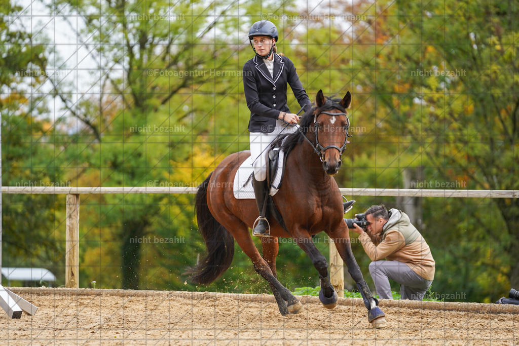 20221009-FAH08649 | Diessen am Ammersee, 2022, Dressur- und Springturnier, Reitsportbilder, Turnierfotografen Bayern, Pferdefotografen, Fotoagentur Herrmann, Turnierbilder