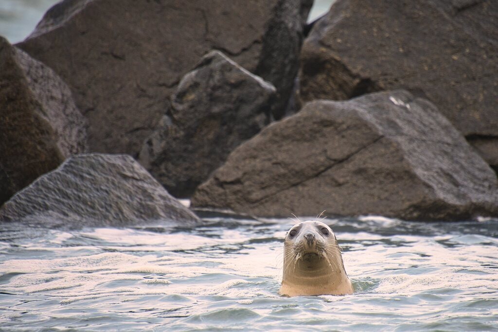 ZFC_7704 | Unvergessliche Erinnerungen in Bildern festgehalten! Ob Hochzeit, Shooting oder Landschaft  - Ich bin dein Fotograf in Erfurt und Umgebung! Photo-Rauch | Sandro Rauch - Realisiert mit Pictrs.com