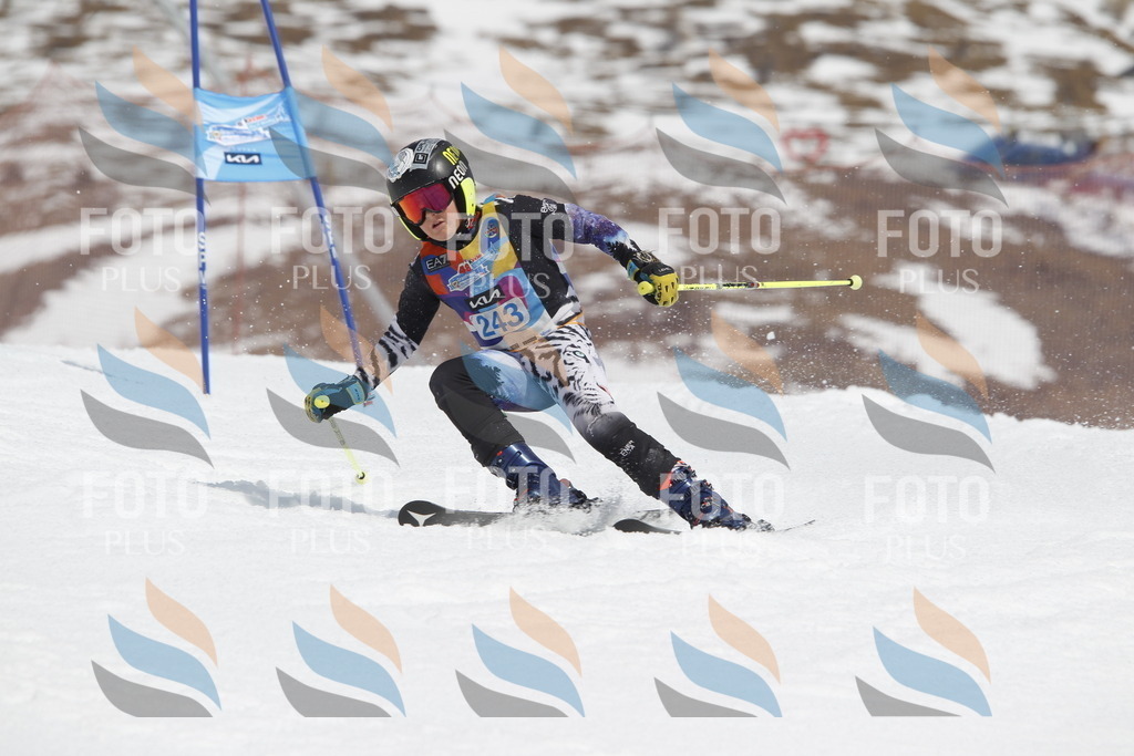 _U3G2740 | holidayphoto