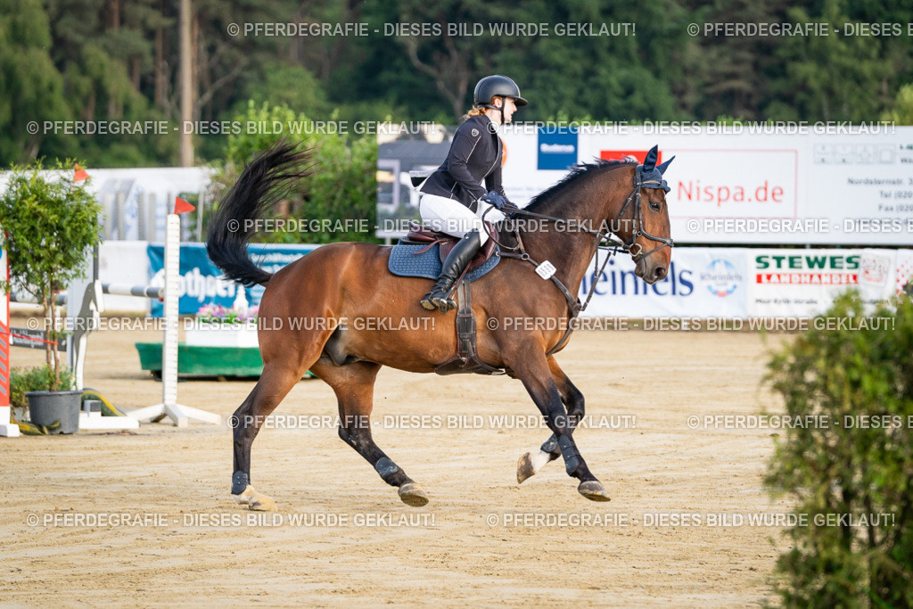 DSC01760 | Pferdegrafie