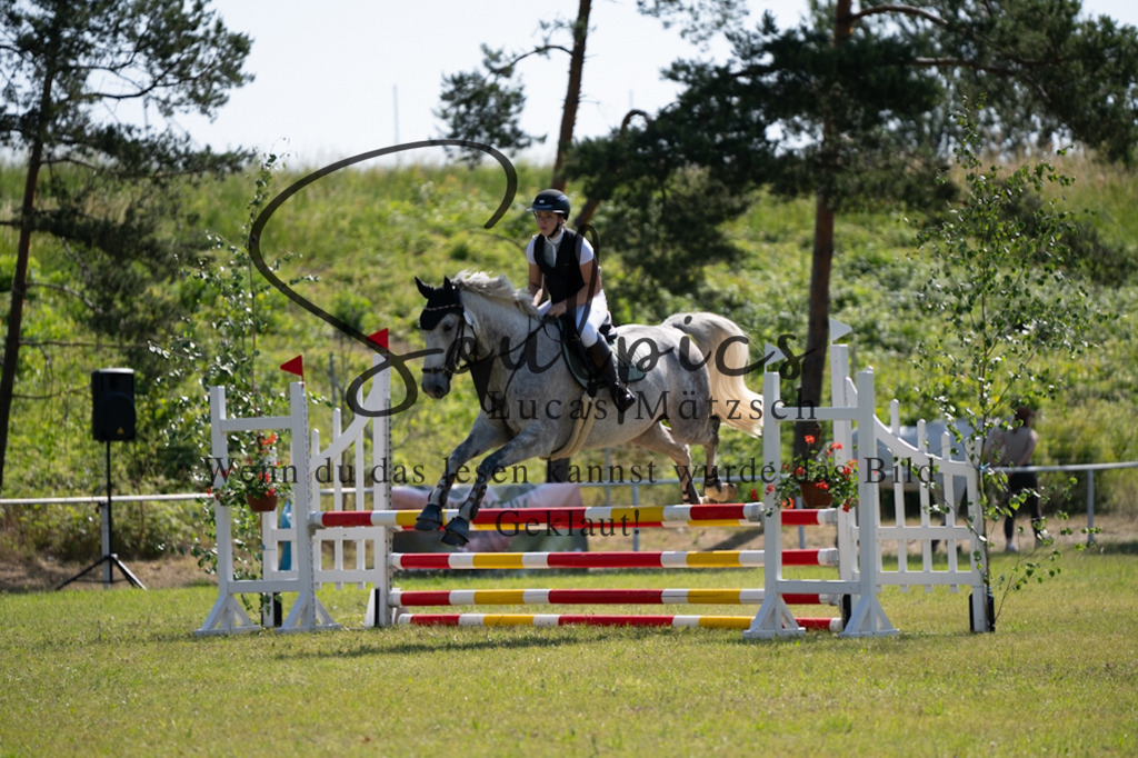 A7V05449 | Pferdefotograf