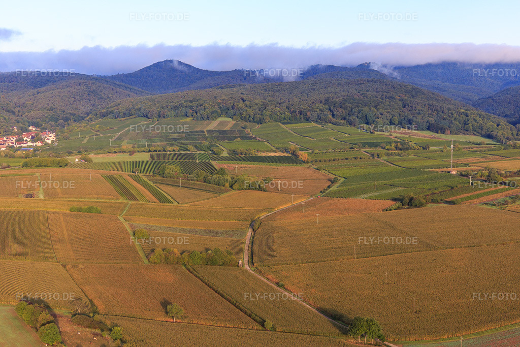Luftbild: Weinberge zwischen Rechtenbach und Oberotterbach im Ortsteil Rechtenbach in Schweigen-Rechtenbach im Bundesland Rheinland-Pfalz in Deutschland. Foto: IMG_103263.jpg vom 10.09.2017 durch Werner Riehm/FLY-FOTO.de