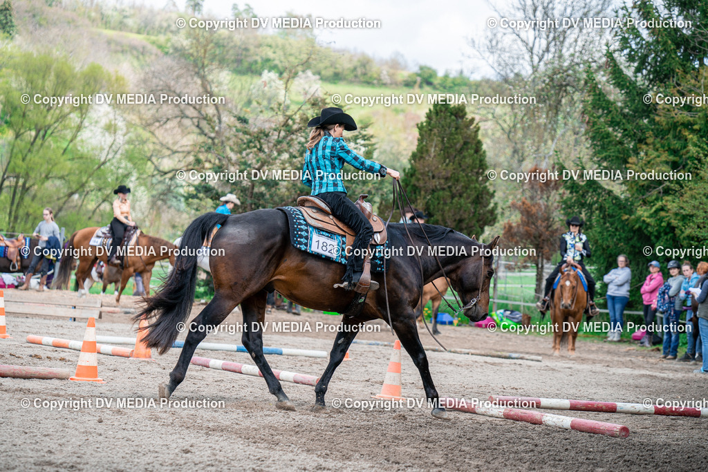 BAL02399 | dv-media-shop - Realisiert mit Pictrs.com