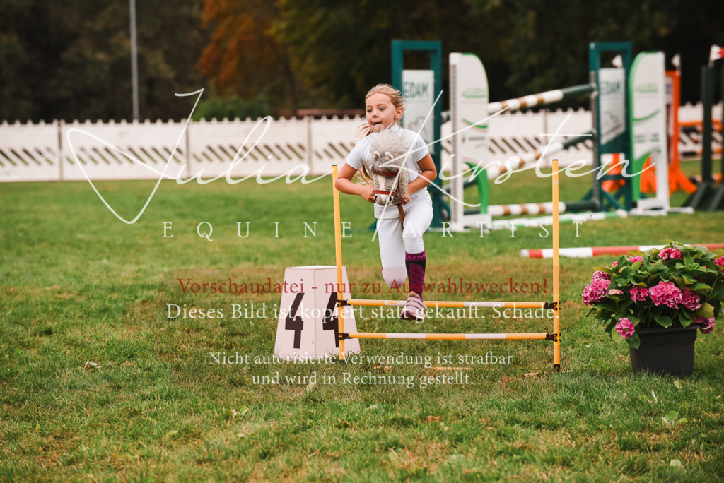 DSC_4490 | Pferde- und Turnierfotografie in Westsachsen. Pferdeportraits, Auftragszeichnungen und intuitive Kunst.