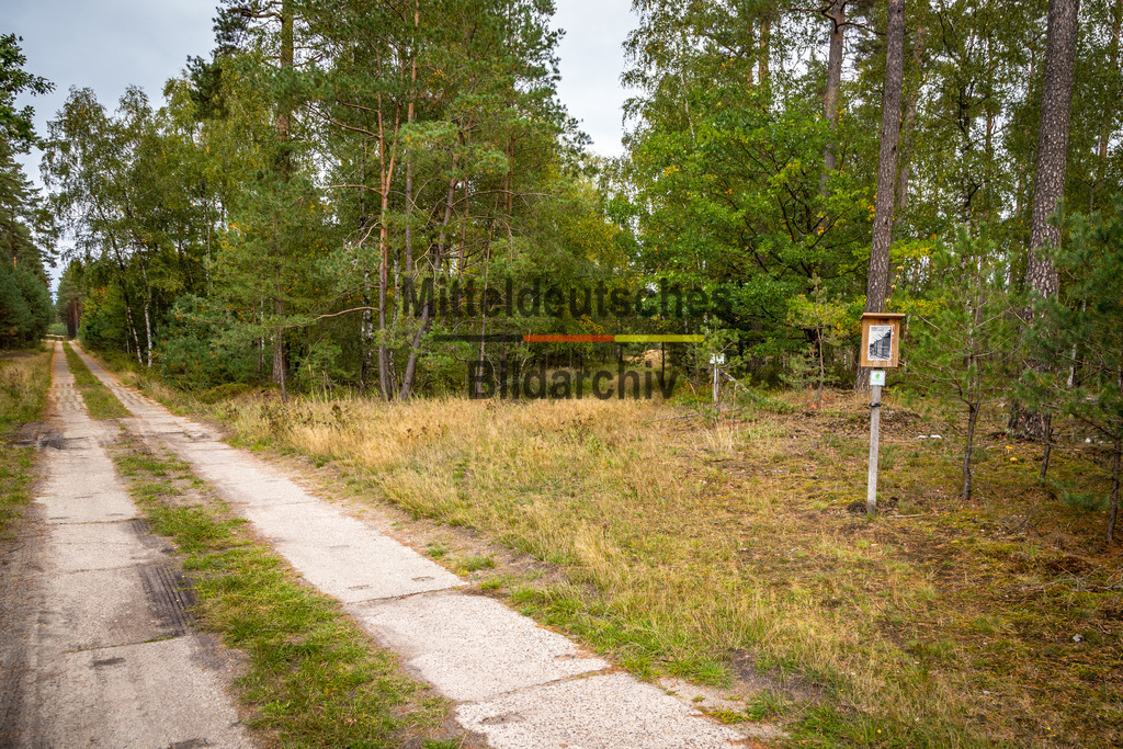 innerdeutsche Grenze Grünes Band Arendsee-2020 | Die innerdeutsche deutsch-deutsche Grenze, das Grüne Band - Realisiert mit Pictrs.com