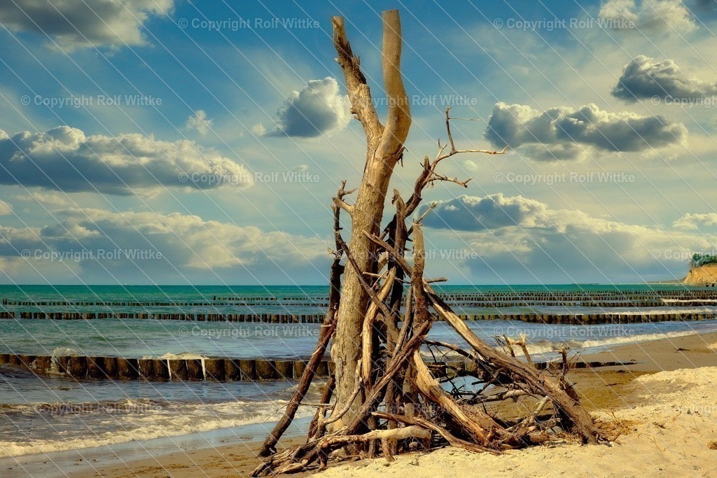 1D3A6540 | Rolf Wittke  - Realisiert mit Pictrs.com