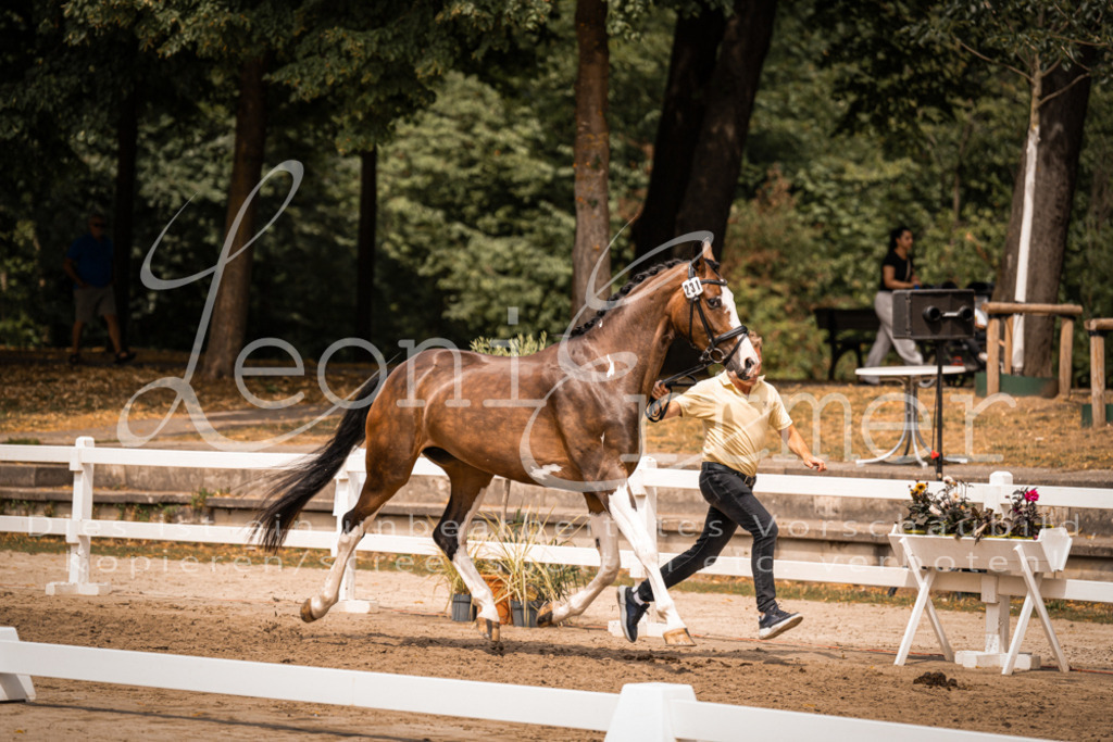 3.Fr00167 | Leoni Ertmer Photography - Realisiert mit Pictrs.com