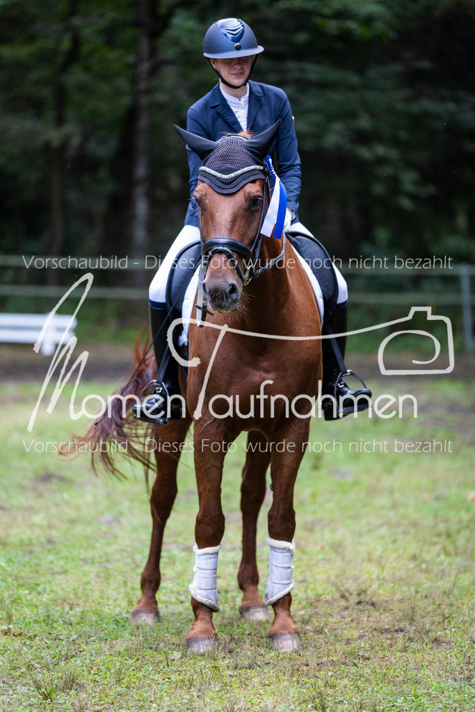 HB-A-Dressur-177 | MomenTaufnahmen Pferdesportfotos