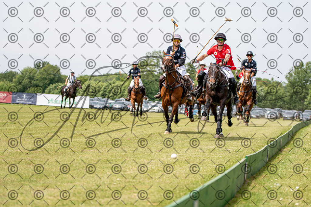 POL_3513 | andre_photographic