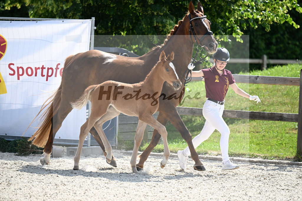 Kat-Nr. 44 Bowmore x Ricardo Star_SF_Soell_15251220 | hf-fotografie - Realisiert mit Pictrs.com