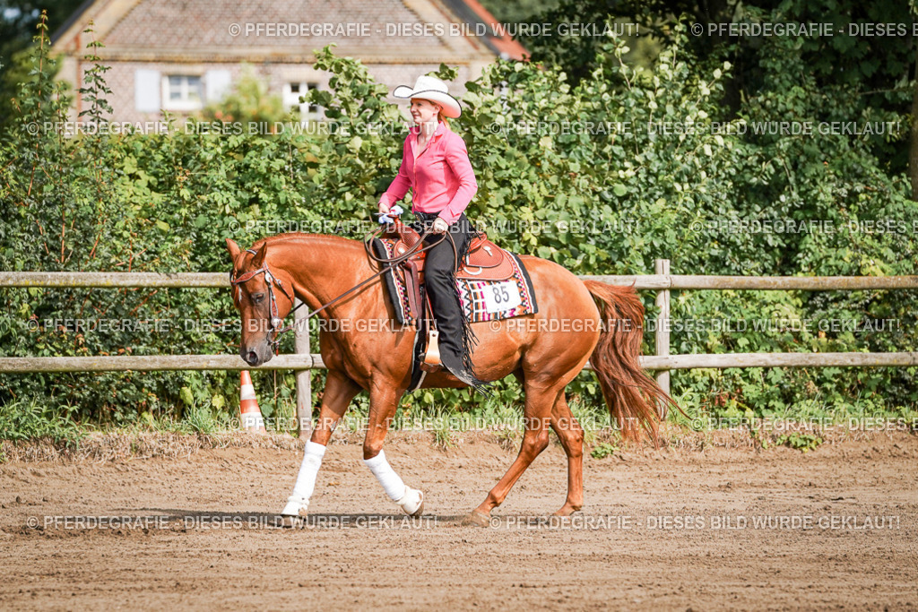 DSC09537 | Pferdegrafie