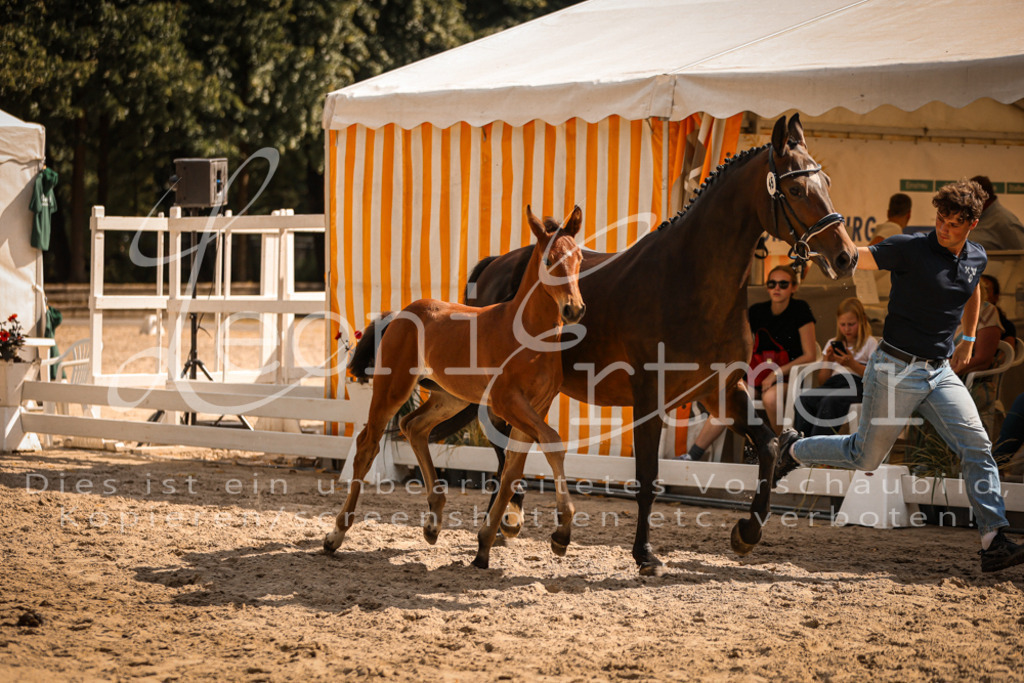 09.DoWBD00044 | Leoni Ertmer Photography - Realisiert mit Pictrs.com