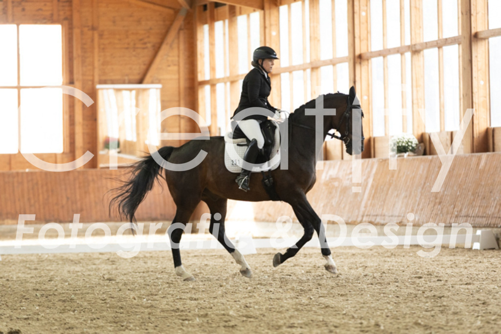 IMG_3195 | Creatify Fotografie