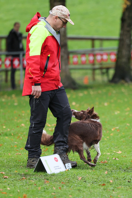 2025_Rally_Obedience_SM-80 | Ich fotografiere Hundeausstellungen, Sportanlässe, Zuchtstätten, Hundezucht, Hundeportrait, Lagotto - Realisiert mit Pictrs.com