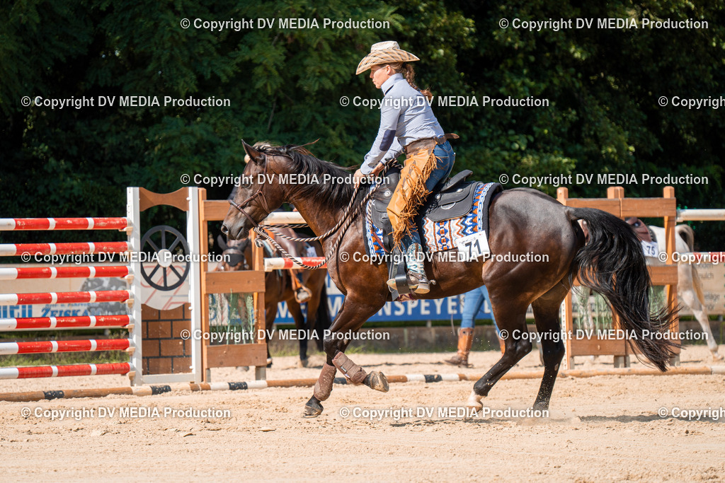 ZH100335 | dv-media-shop - Realisiert mit Pictrs.com